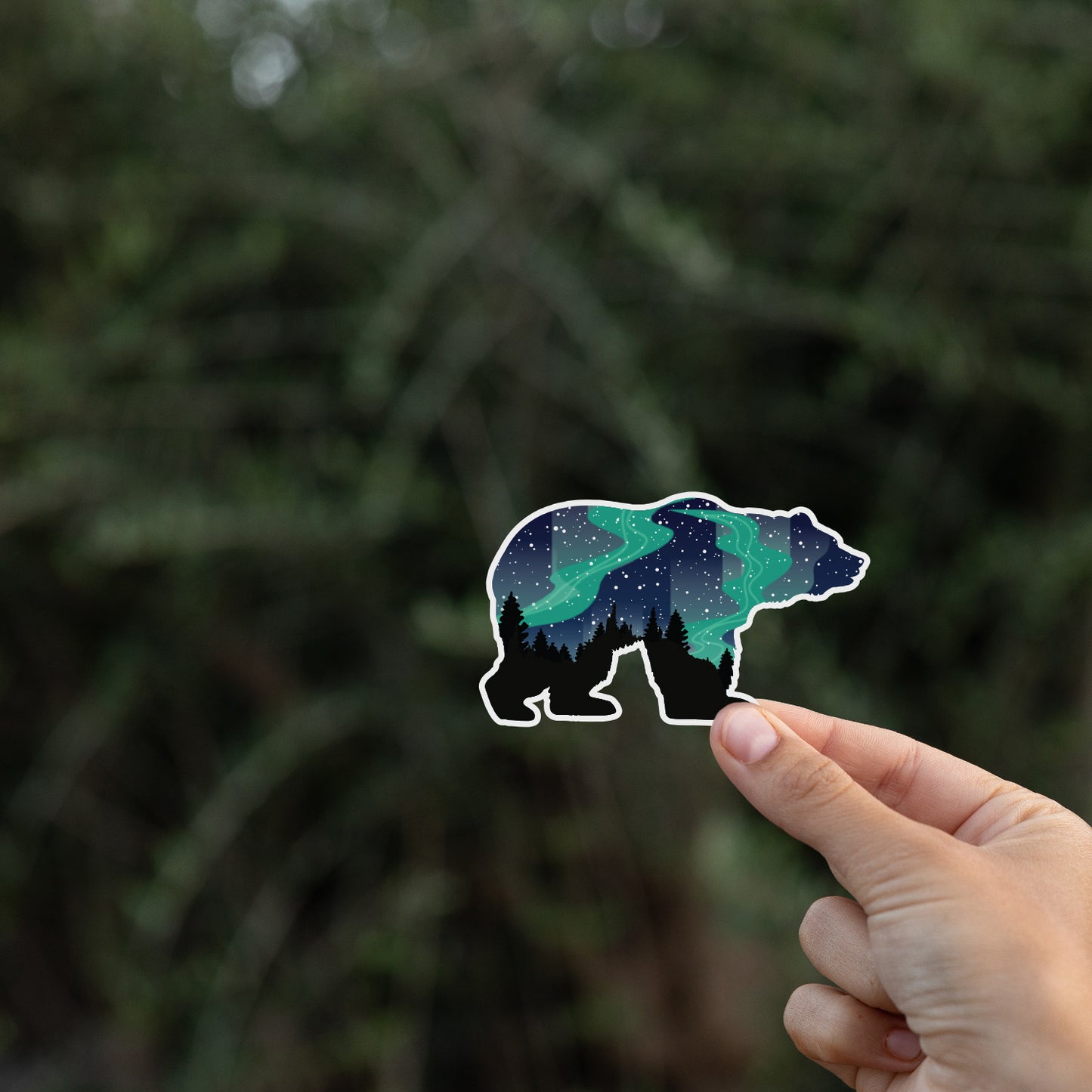 Northern Lights Grizzly Bear Sticker
