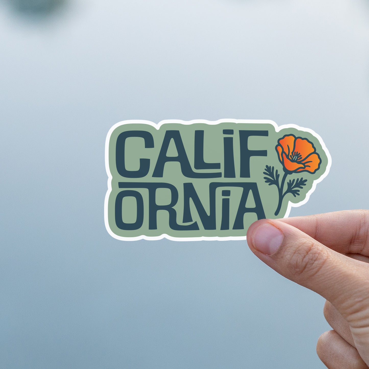 California Poppy