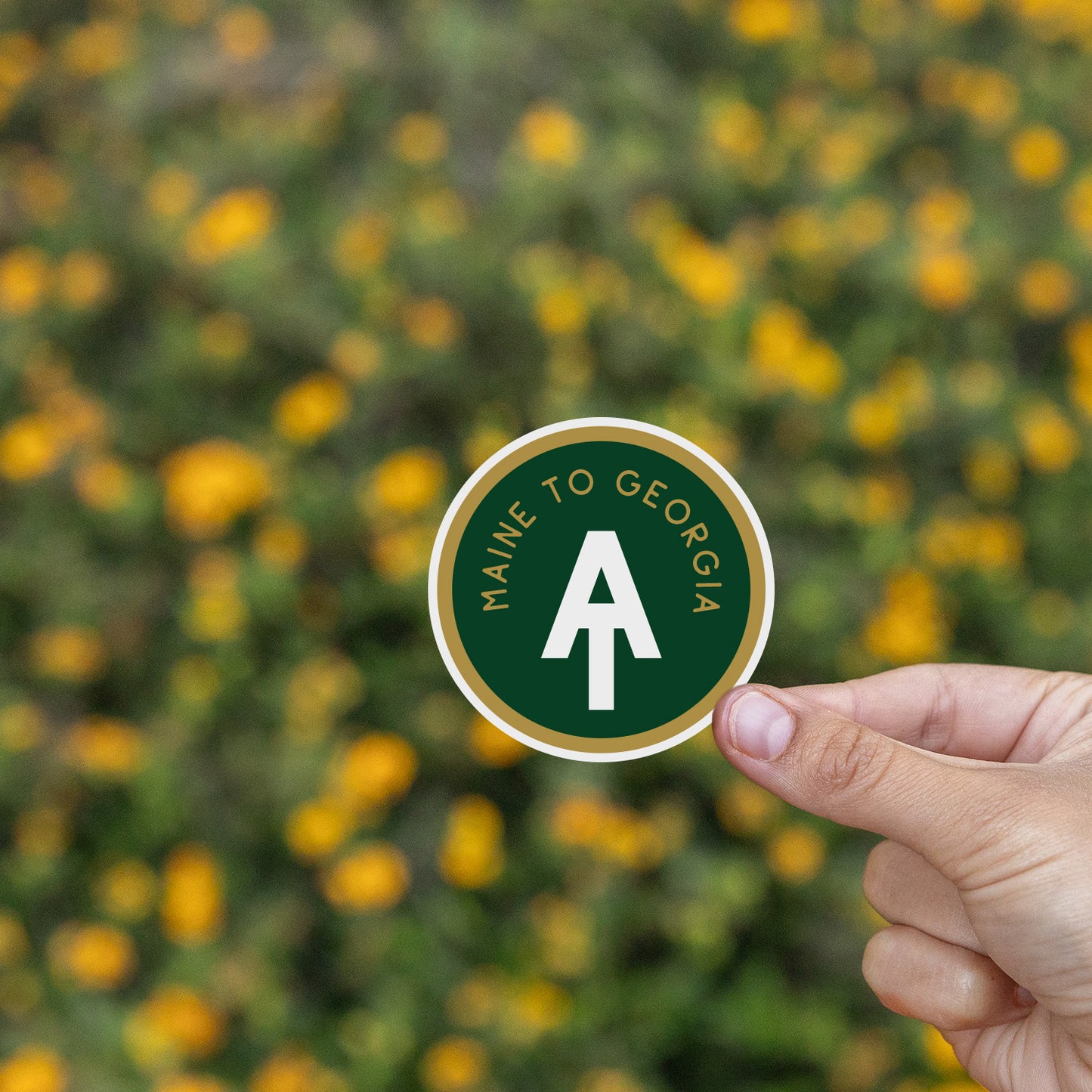 Appalachian Trail AT, Main to Georgia Sticker