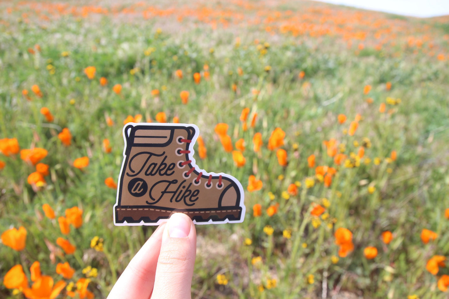 Held closer to the camera, the Take a Hike sticker stands crisp against a poppy covered hillside.