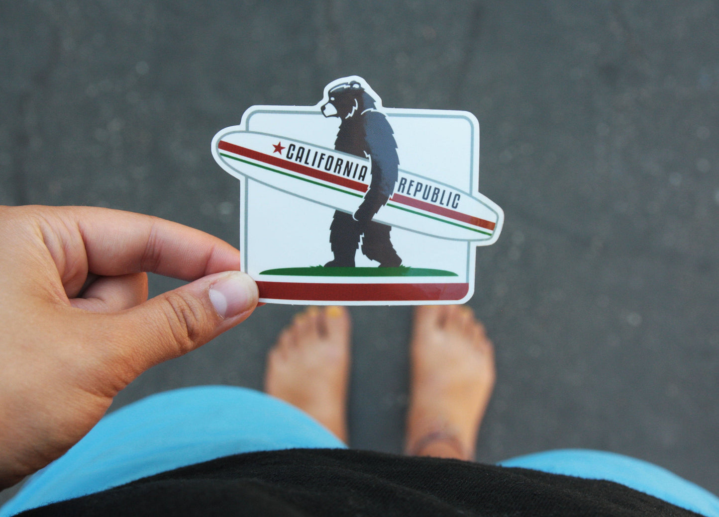 California Surf Bear Sticker