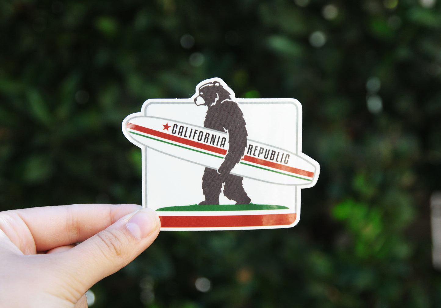 California Surf Bear Sticker