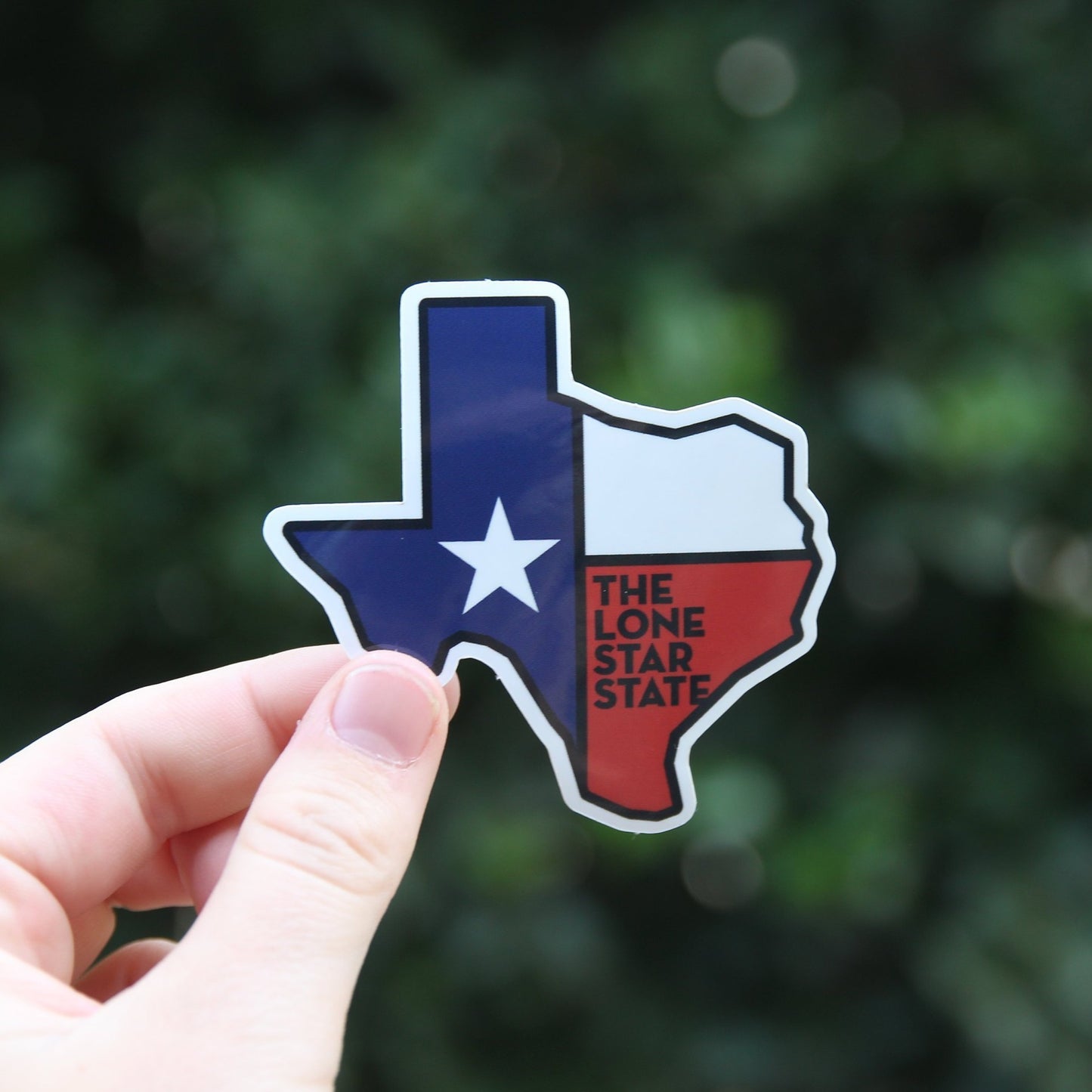 Lone Star Sticker