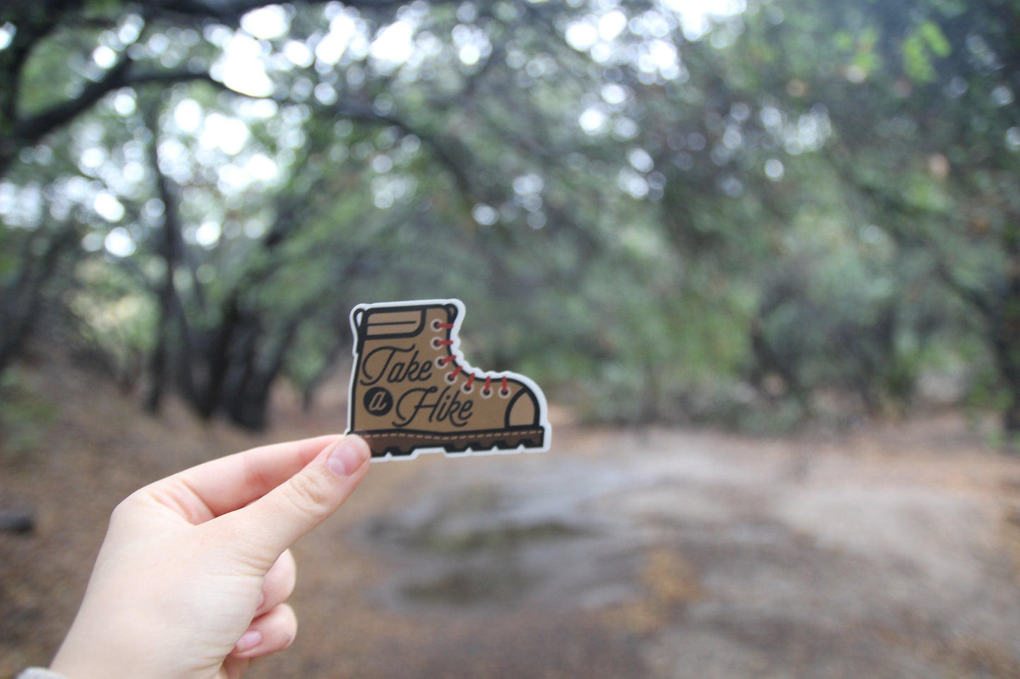 Take A Hike Sticker