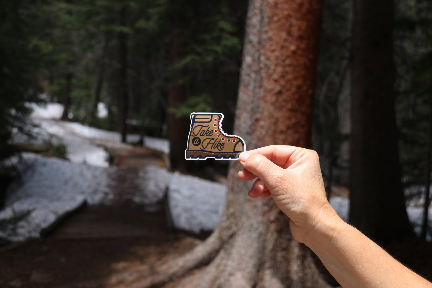 Take A Hike Sticker