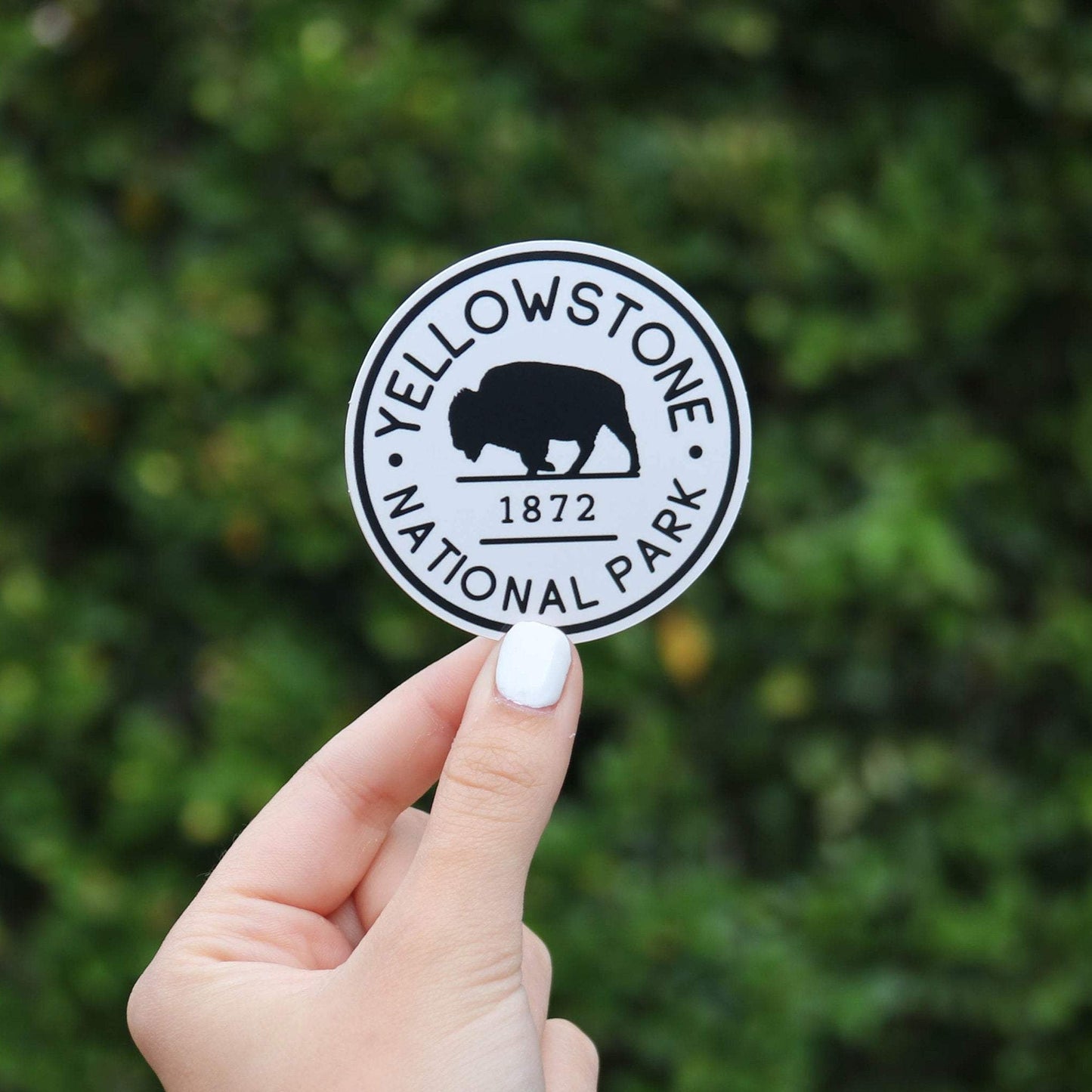 Yellowstone National Park Sticker