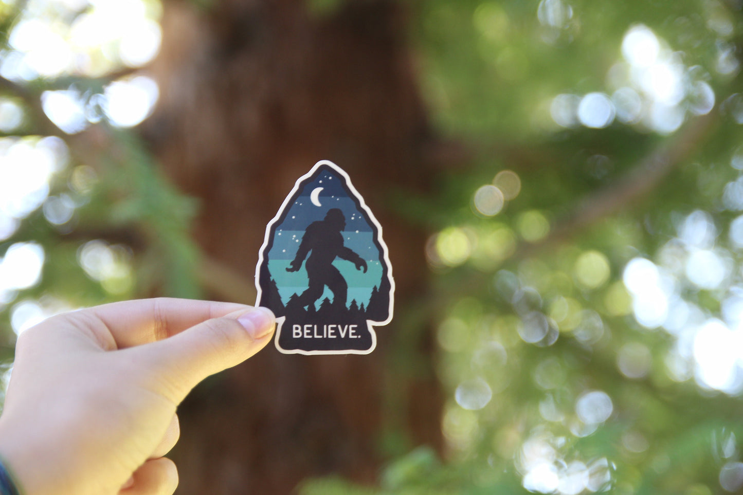 Sunlight through a big tree trunk backs the Bigfoot Believe sticker held up by its lower corner.