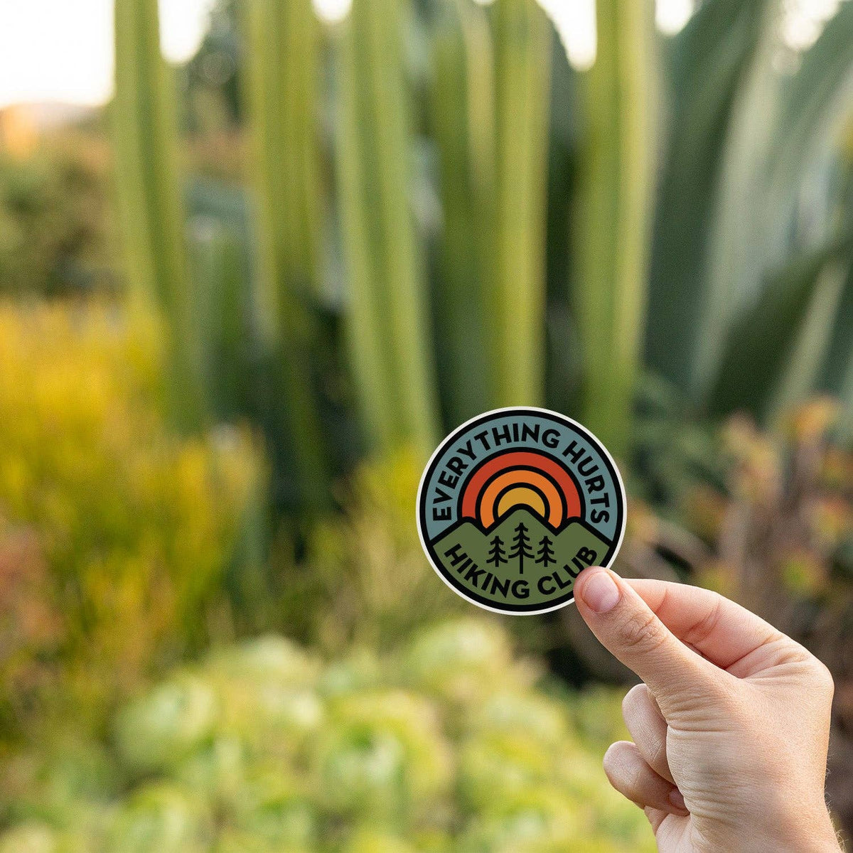 Tall cactus and golden brush sit behind the Everything Hurts Hiking Club sticker pinched in one hand.
