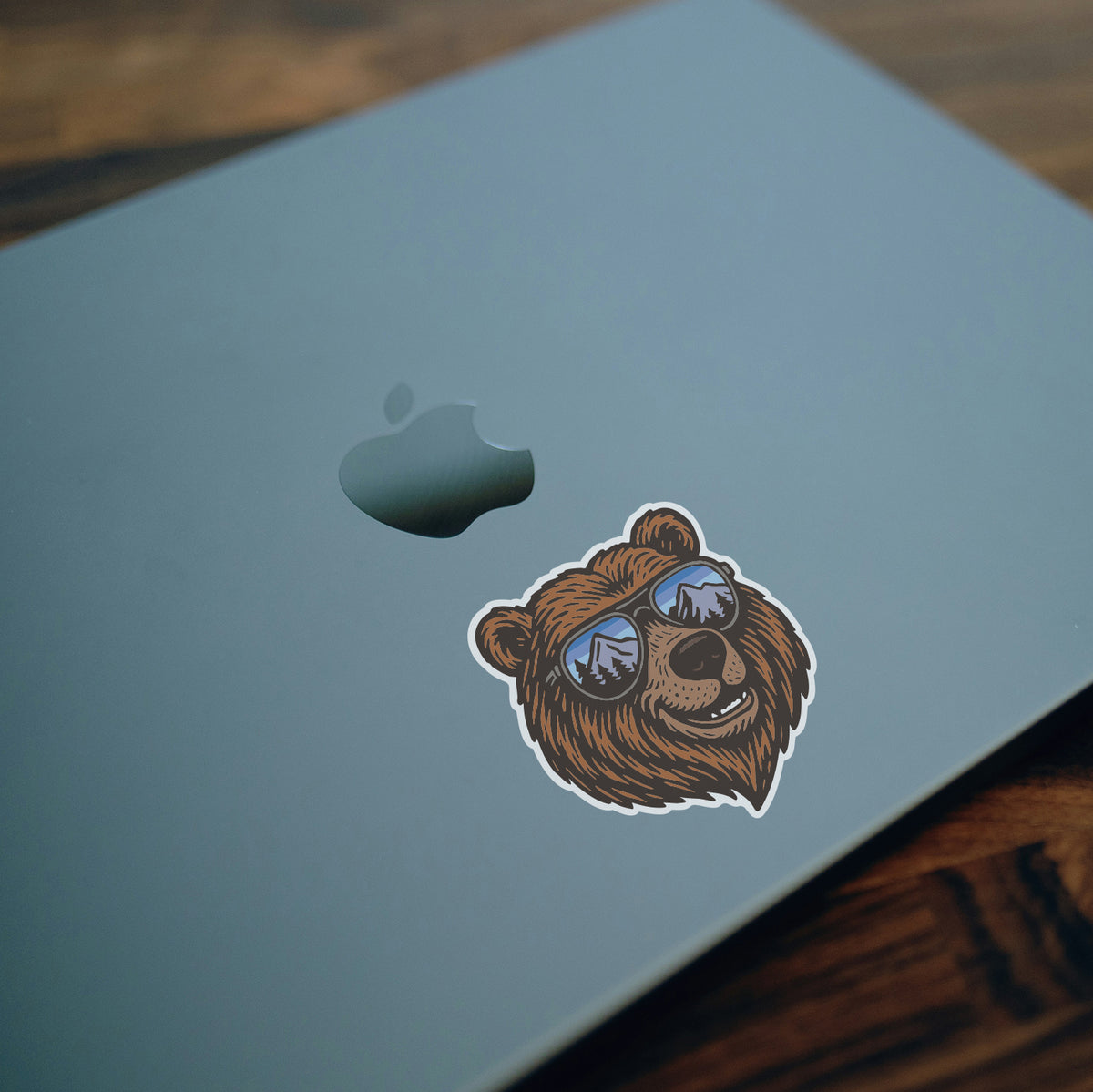 Chill Bear Sticker