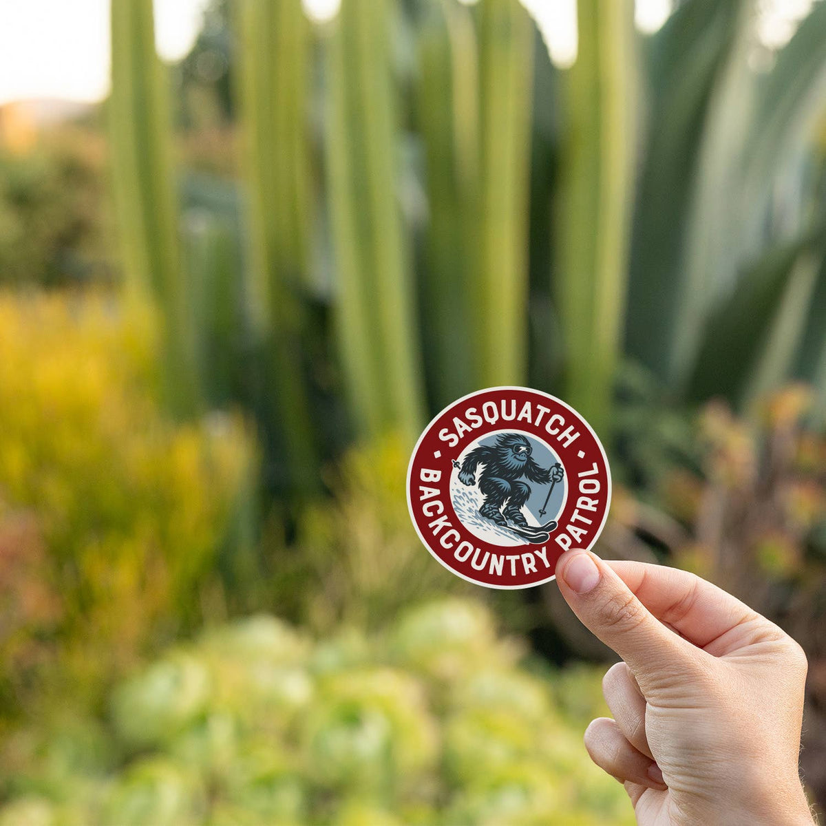 Fingers pinch the Sasquatch Backcountry Patrol sticker in front of tall cactus and succulents at golden hour.
