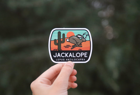 Held farther back against blurred evergreen branches, the Jackalope Lepus Antilocapra sticker shows its full shape.