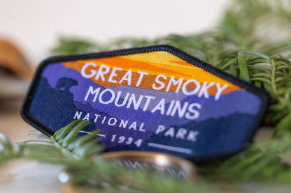 Close in among evergreen sprigs, the Great Smoky Mountains patch leans past a brass ring gone soft in blur.