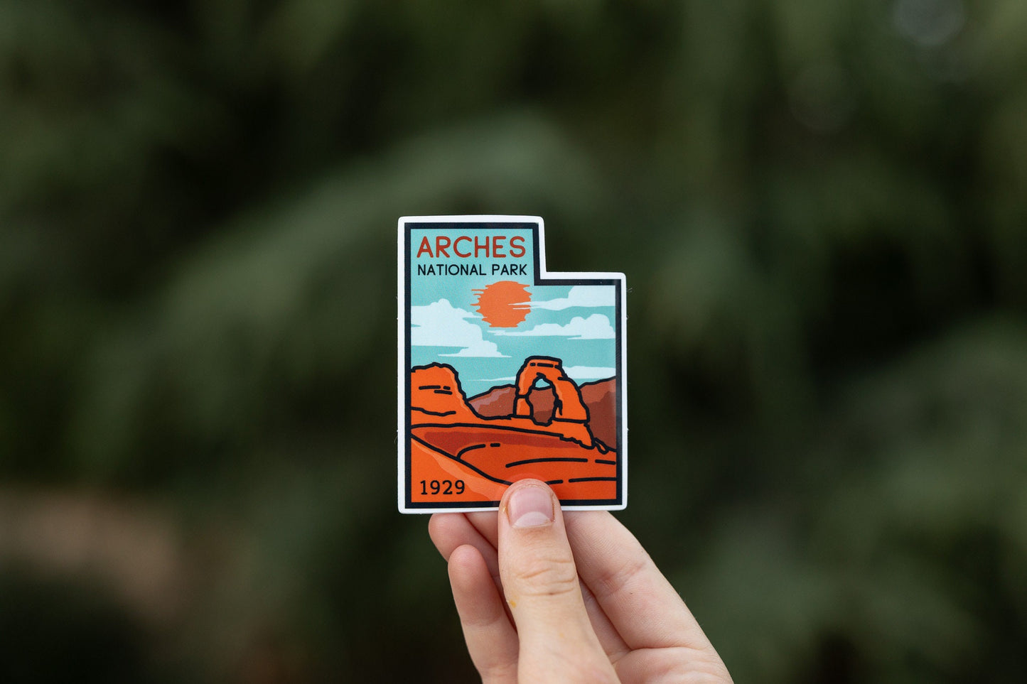 Fingertips lift the Arches National Park sticker in soft light, dark evergreen boughs falling out of focus.