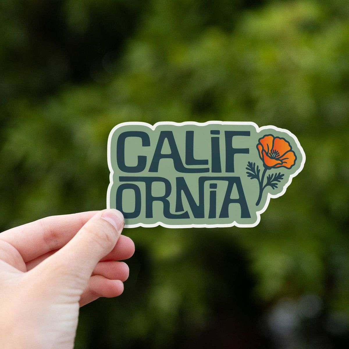 A hand holds the California Poppy sticker up against blurred green foliage in soft daylight.