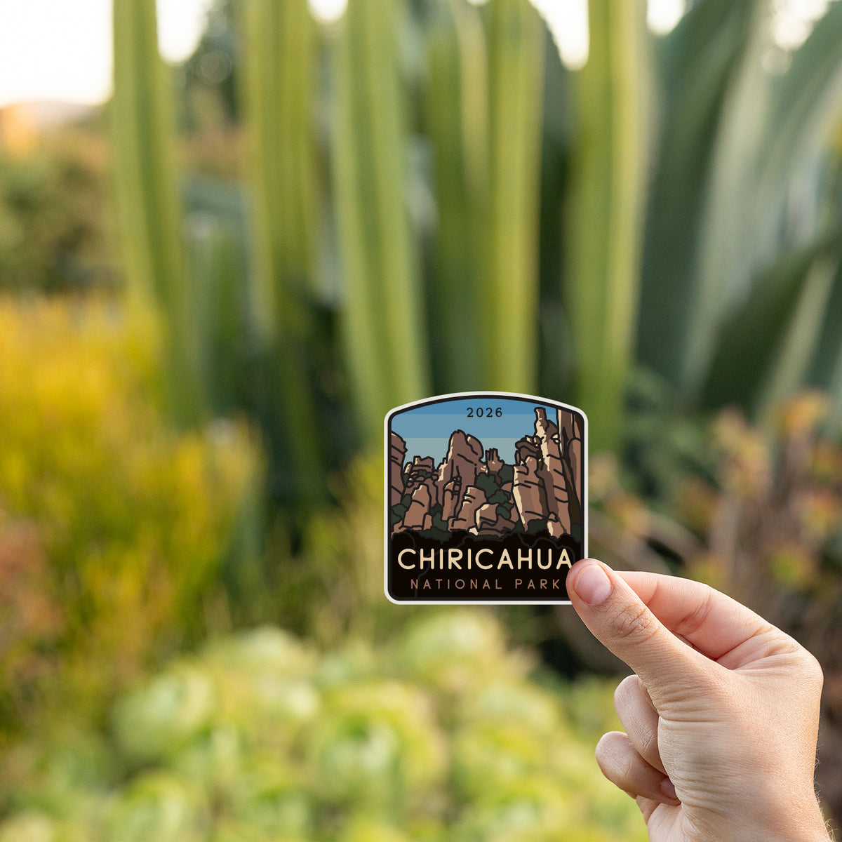 A hand holds the small Chiricahua National Park sticker against tall green agave leaves in soft evening light.