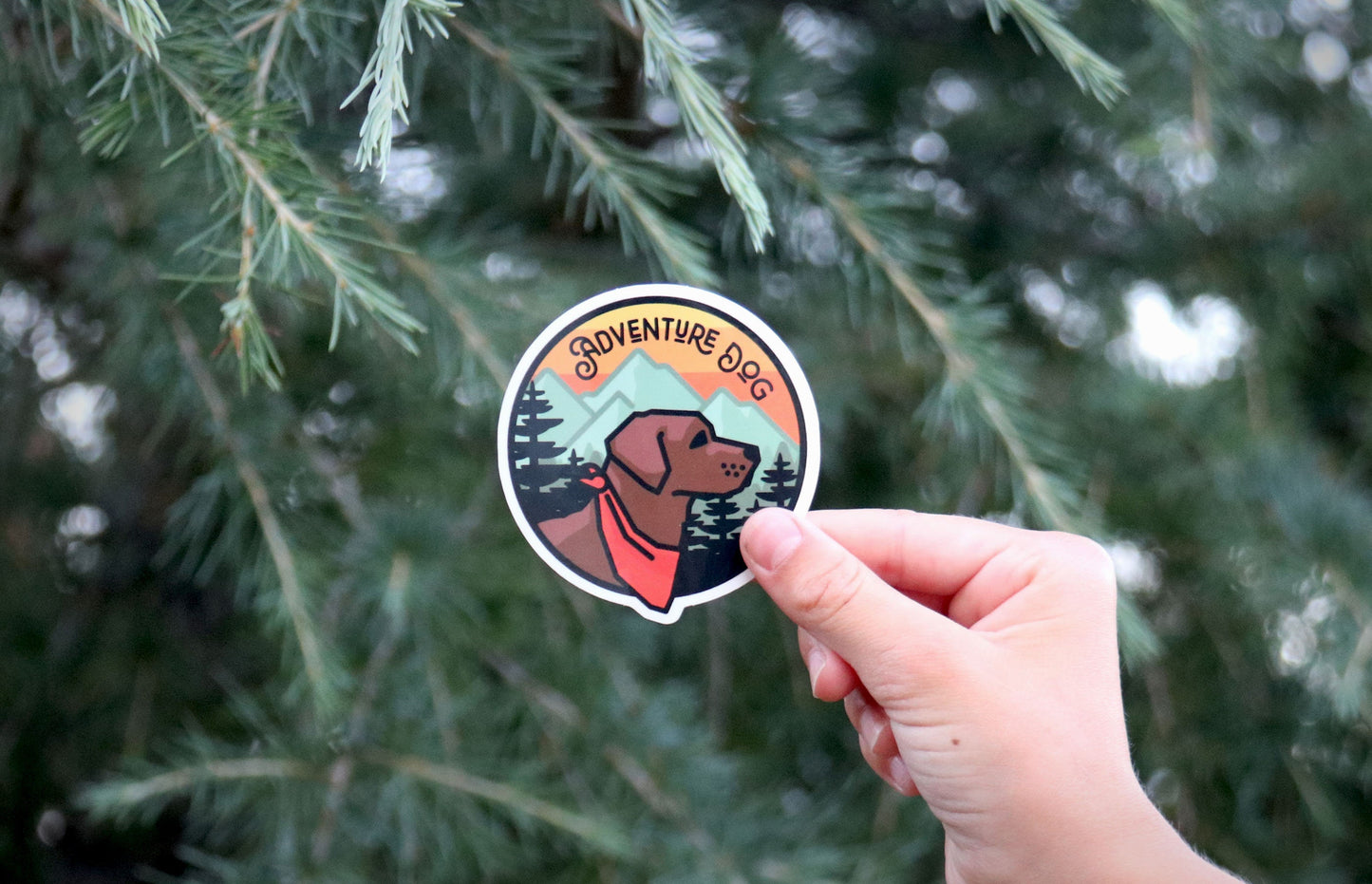 Backed farther off, the Adventure Dog sticker sits small in a hand against a wide evergreen branch.