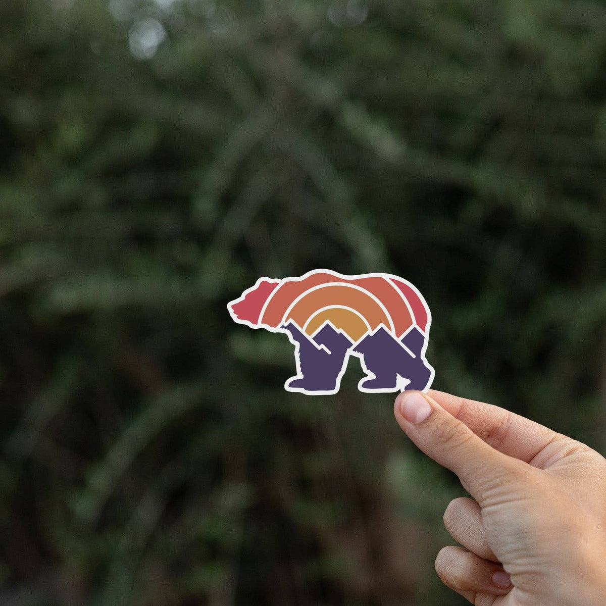 Fingertips lift the Adventure Grizzly Bear sticker in front of a shadowy stand of pine branches.