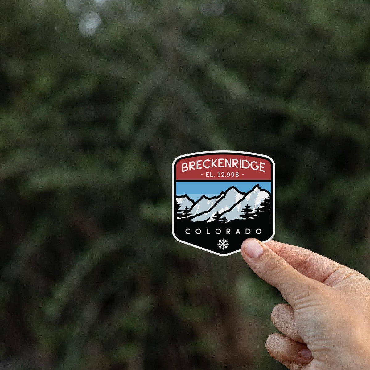 Fingertips lift the Breckenridge Colorado sticker against blurred evergreen branches in shade.