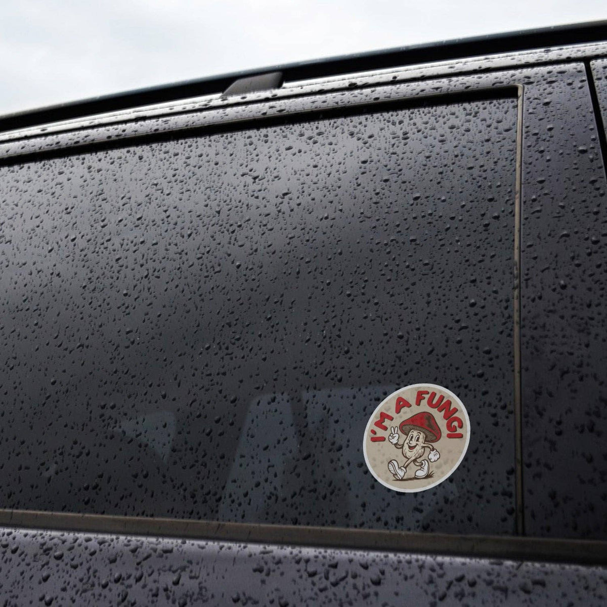 Stuck low on the rain beaded window of a black car, the I'm a Fungi sticker holds through the wet.