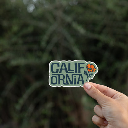 California Poppy