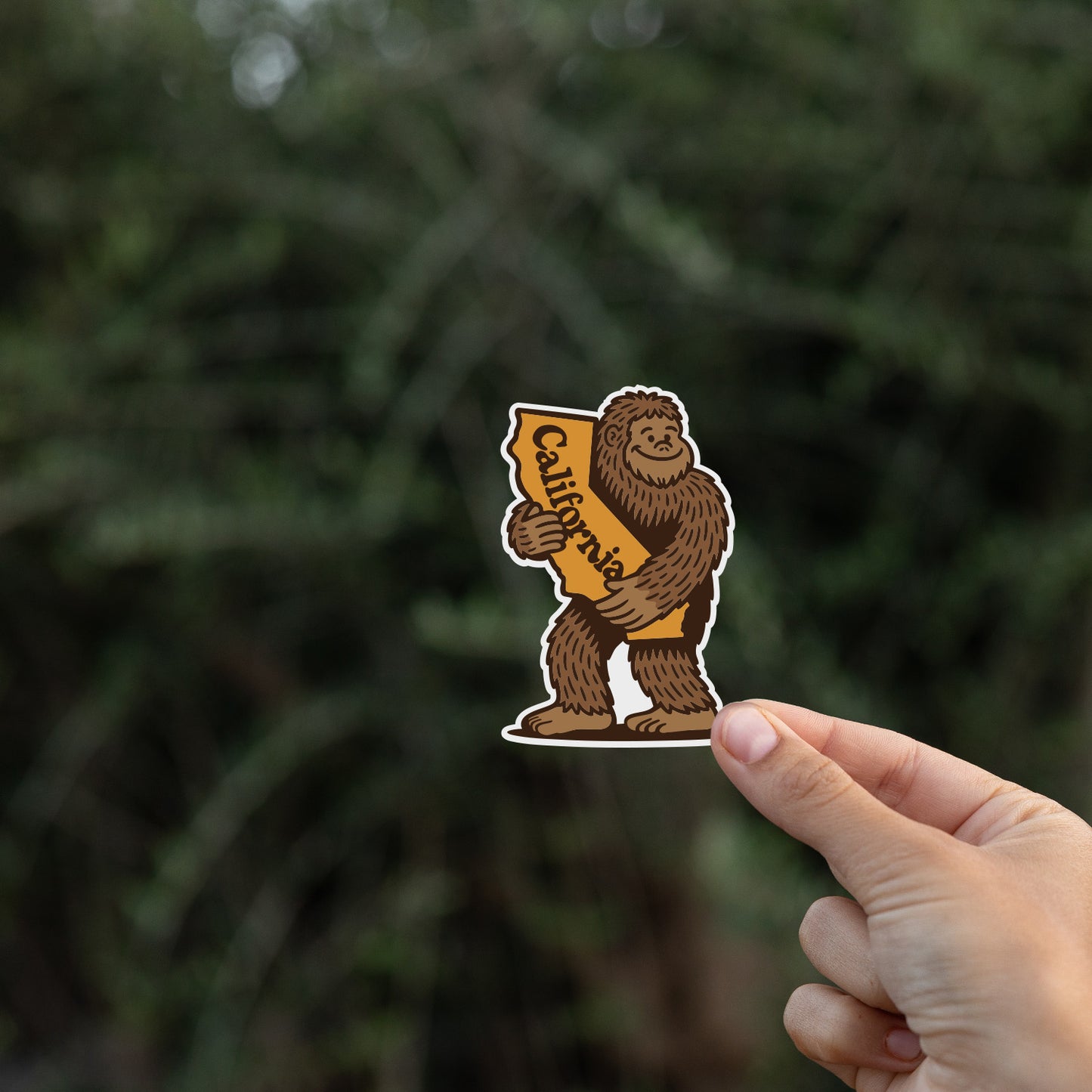 Bigfoot Loves California