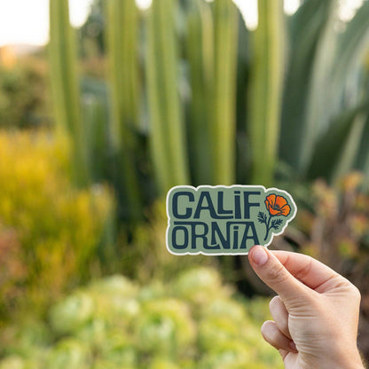 Tall cactus and succulents fill the background as a hand lifts the California Poppy sticker at golden hour.