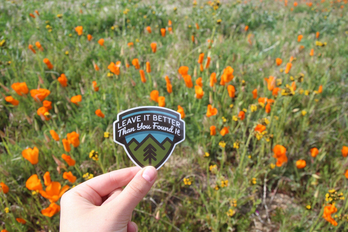 Orange poppies fill the field behind the Leave It Better Than You Found It sticker held up by hand.
