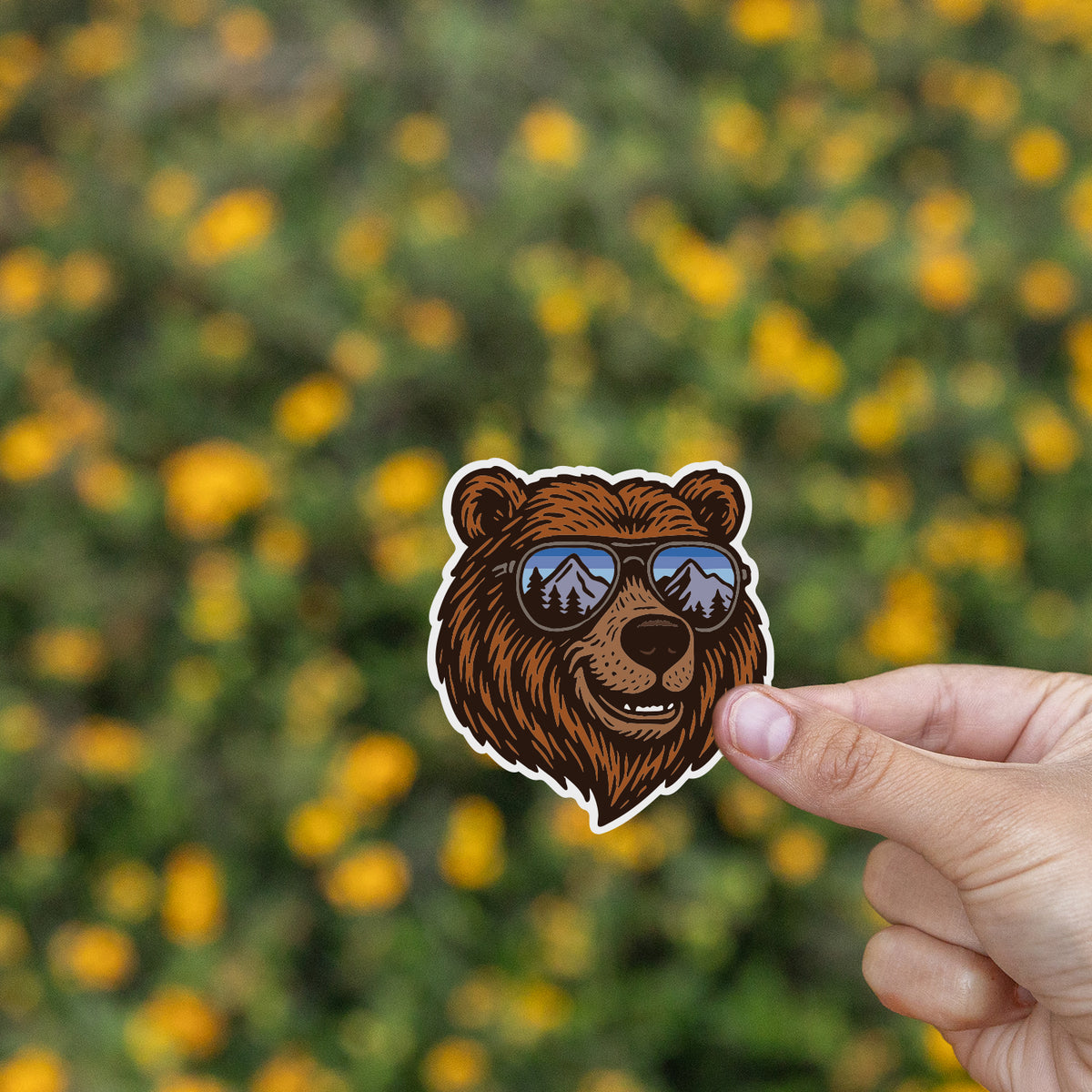Chill Bear Sticker