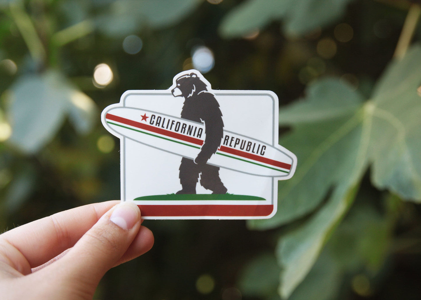 Fig leaves fill the background as a hand raises the California Republic Surf Bear sticker at arm's length.