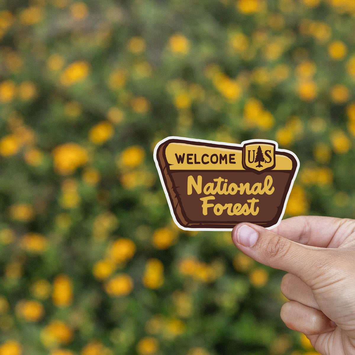 Yellow wildflowers fill the background while a hand holds the National Forest Sign sticker.