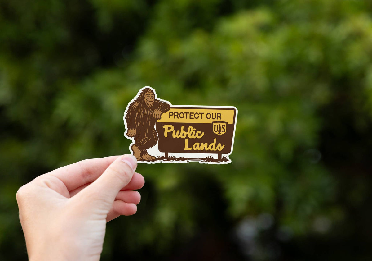 A hand holds the Protect Our Public Lands sticker up against blurred green foliage.