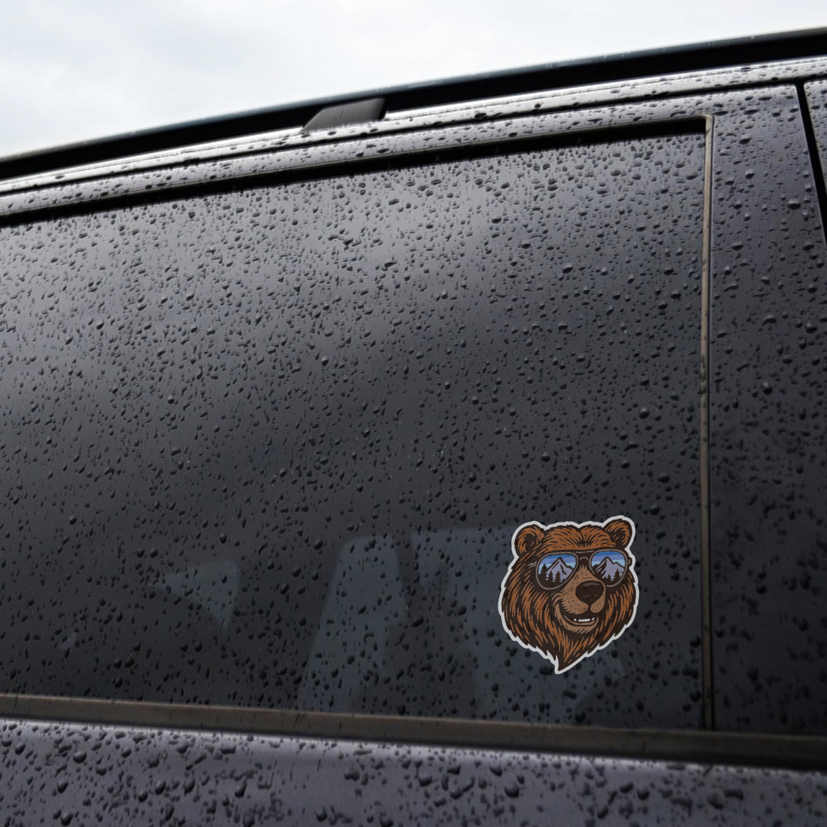 Chill Bear Sticker