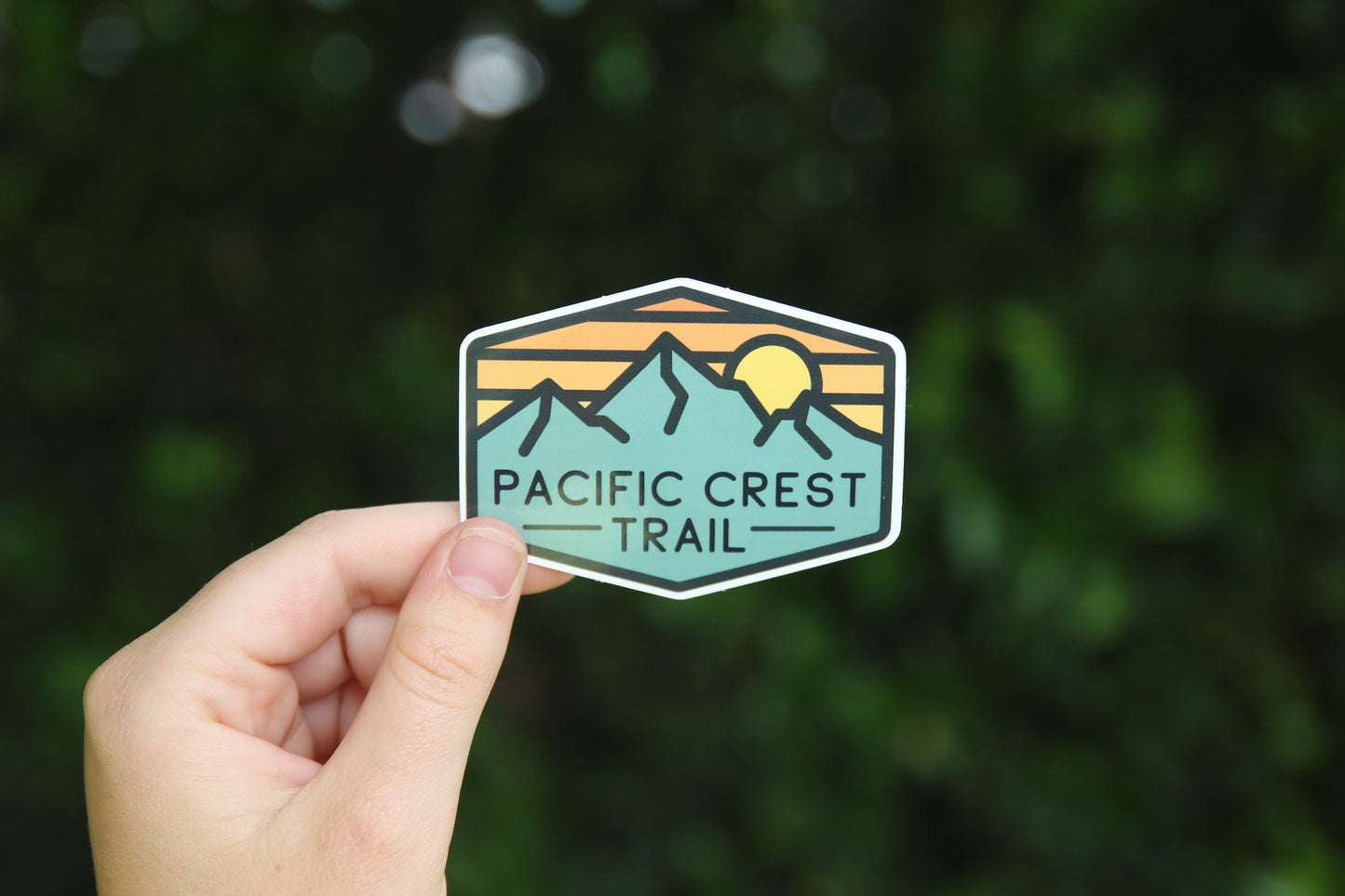 Held at arm's length before a dark hedge, the Pacific Crest Trail sticker sits small and centered in the frame.