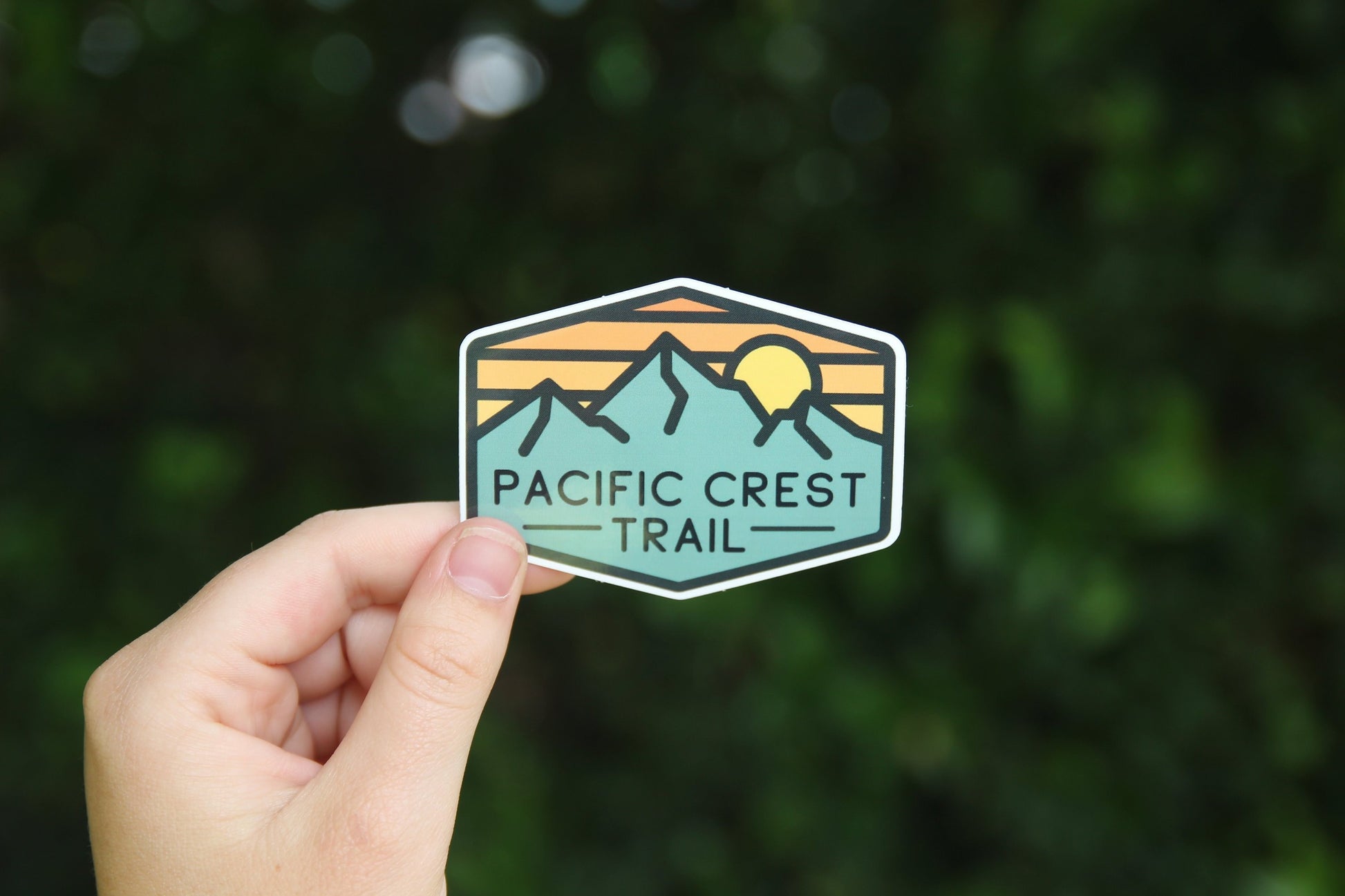 Held at arm's length before a dark hedge, the Pacific Crest Trail sticker sits small and centered in the frame.