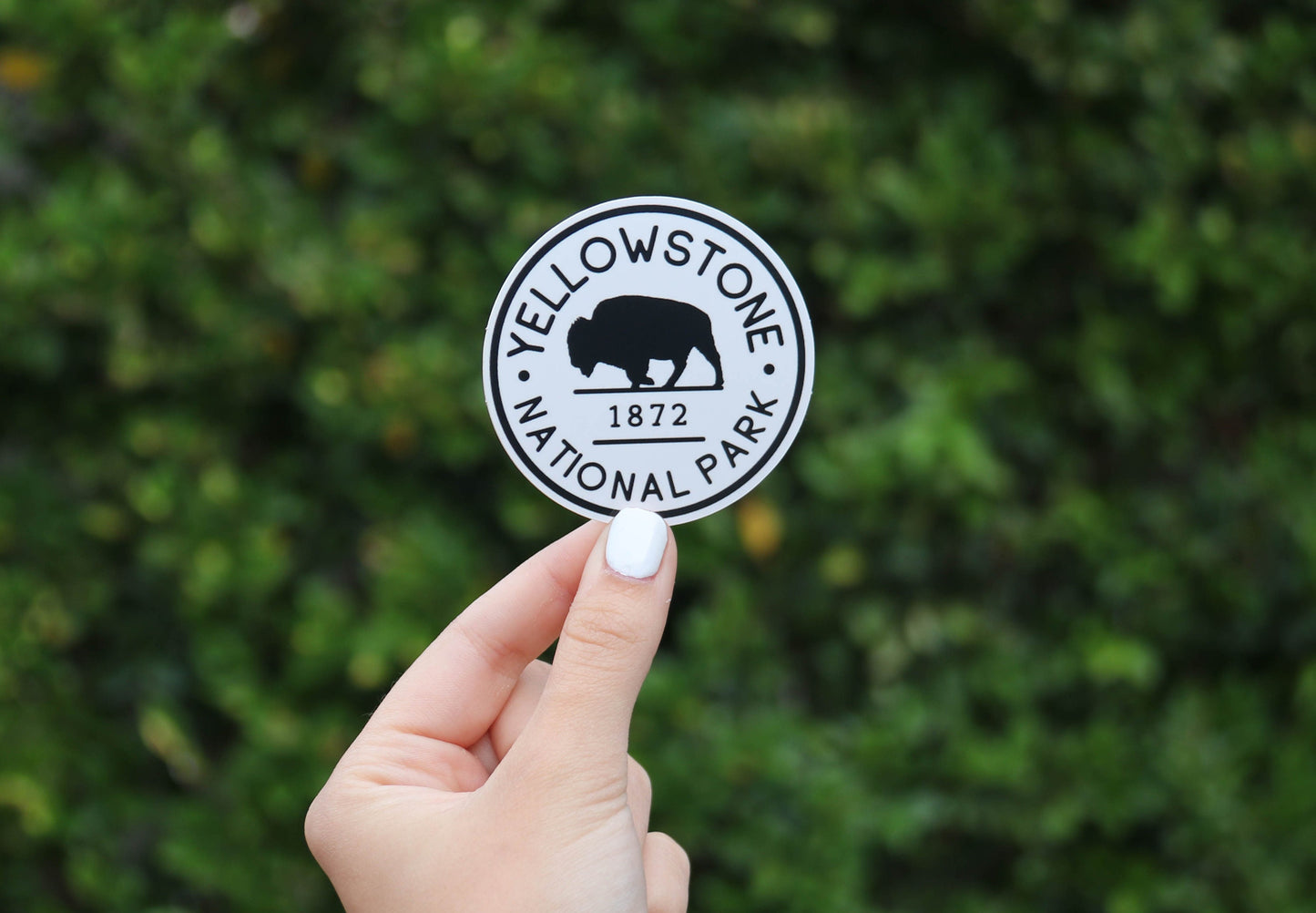 The circular Yellowstone National Park sticker with its bison and 1872 is pinched in front of dense shrubs.