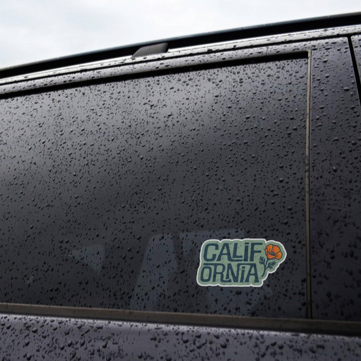 Rain beads across a black car window where the California Poppy sticker is applied near the door frame.