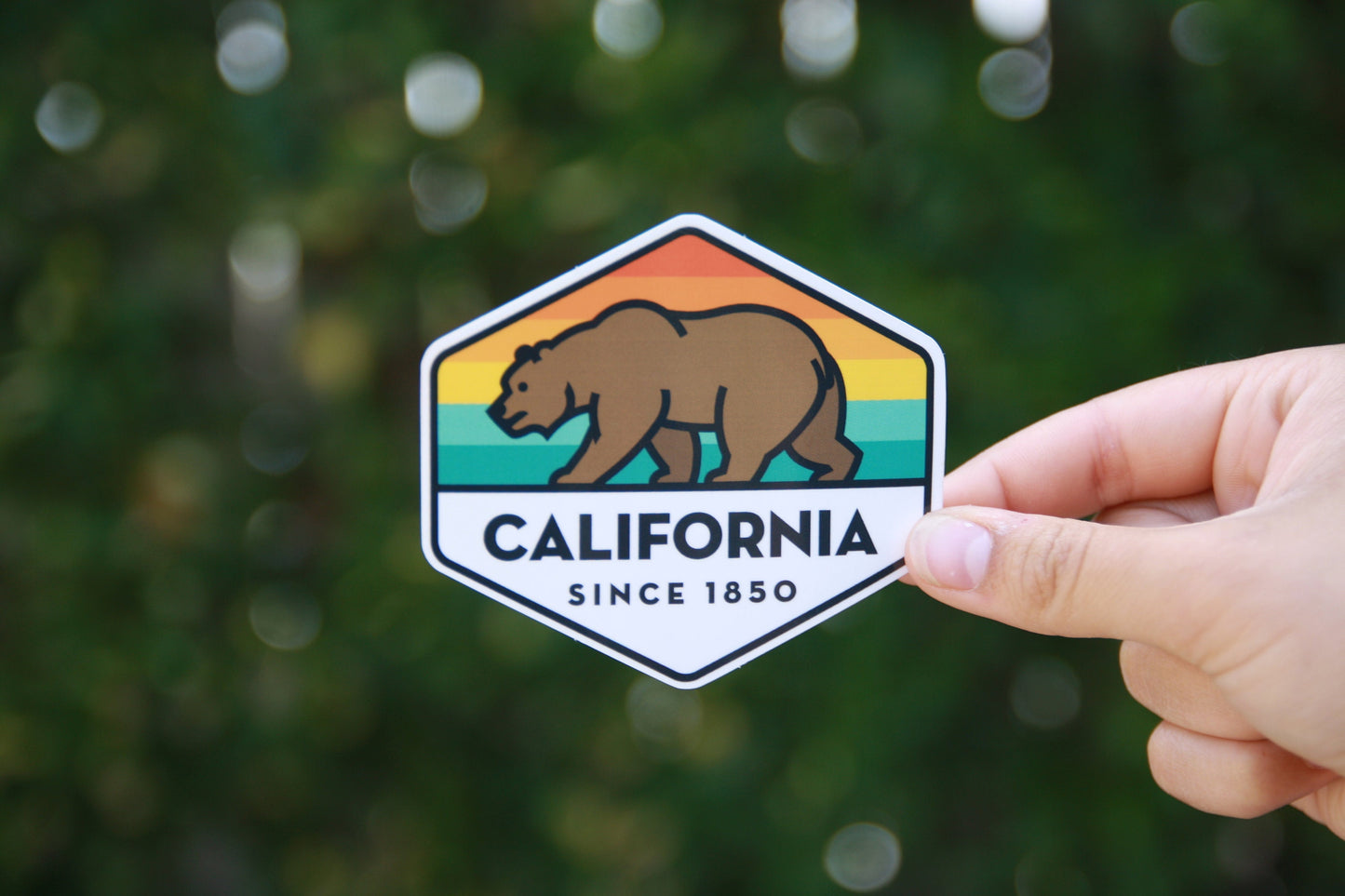 Bright daylight and a dense hedge frame the California State Bear sticker held at its right edge.