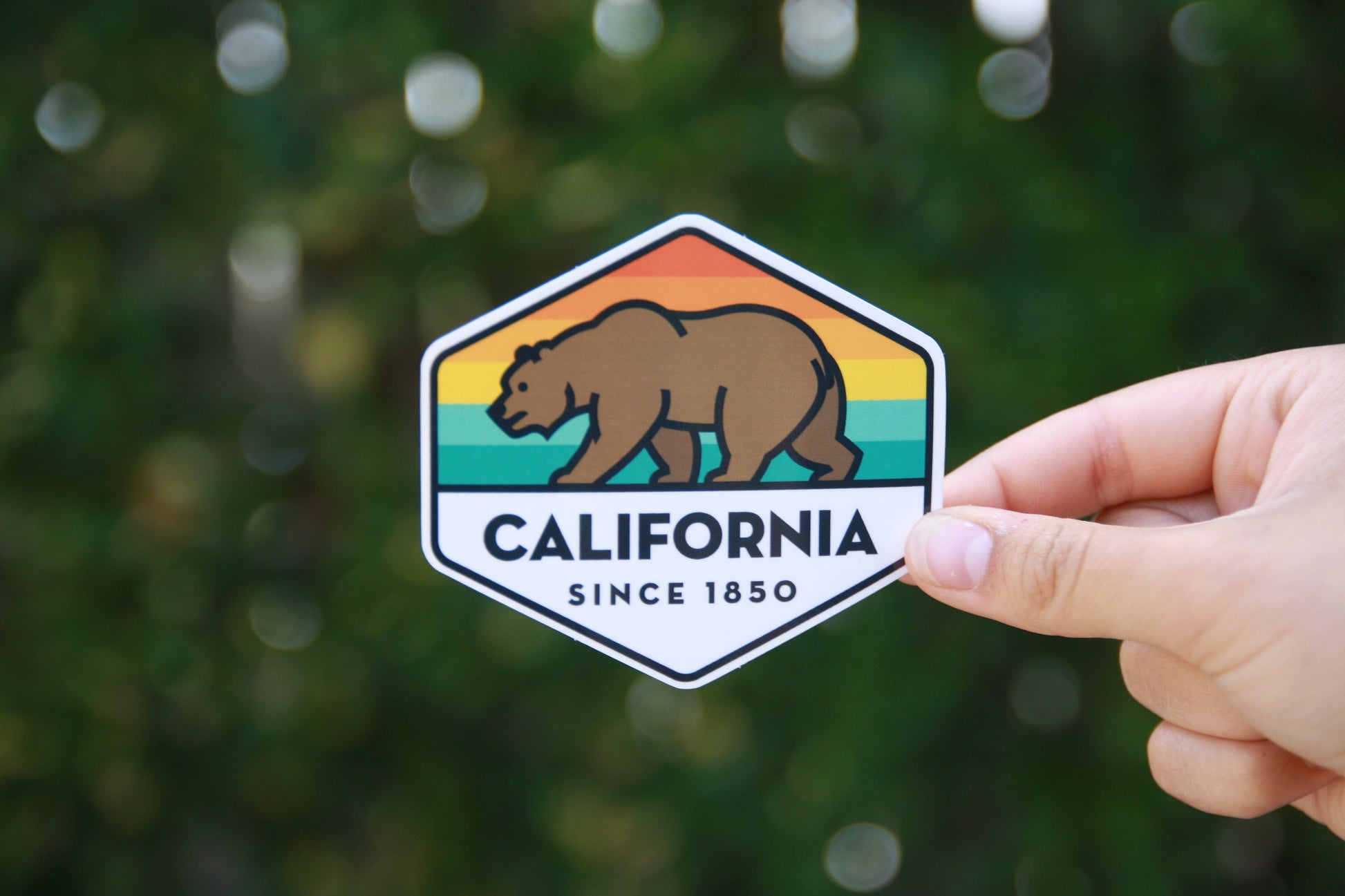 Bright daylight and a dense hedge frame the California State Bear sticker held at its right edge.