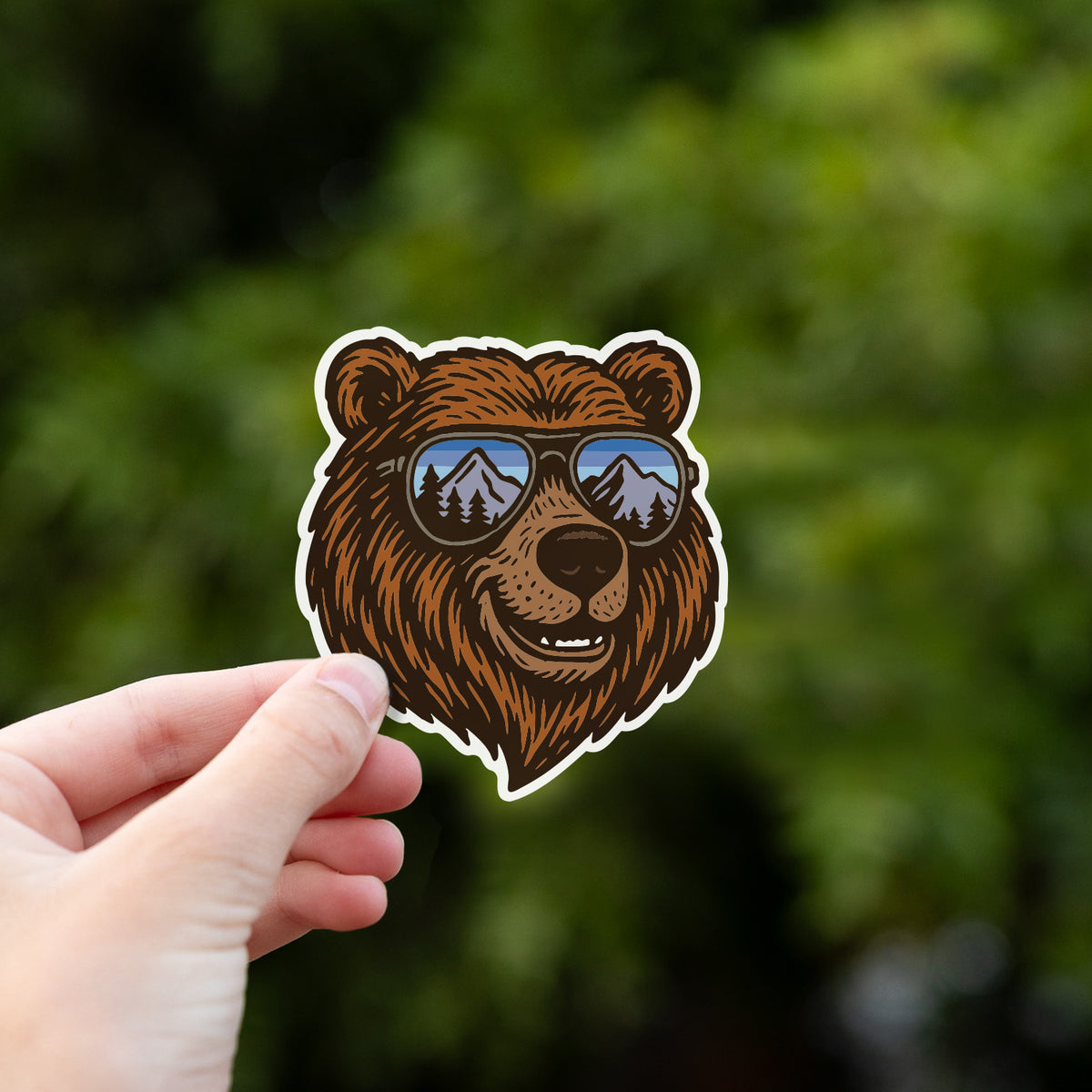 Chill Bear Sticker