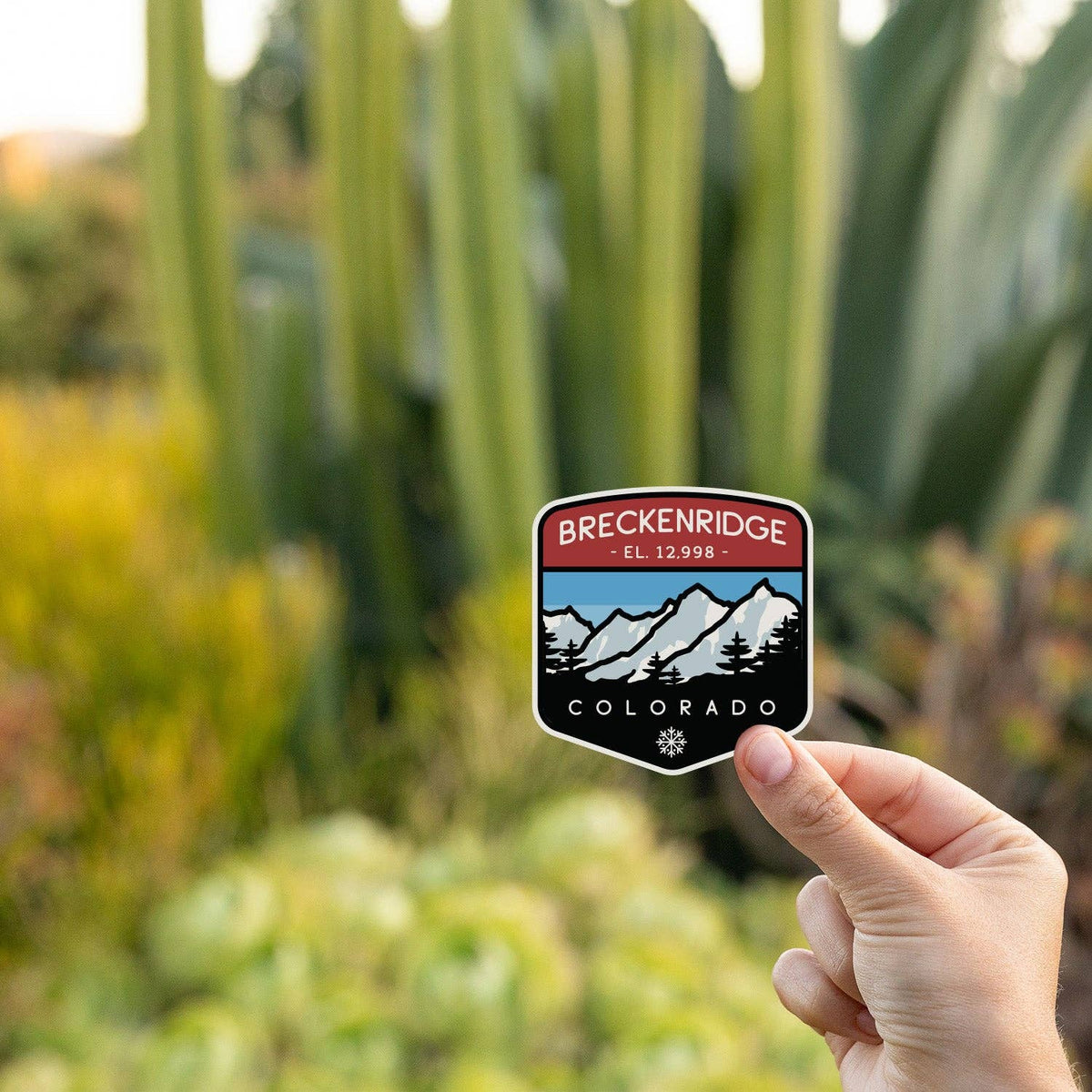 Held before tall cactus and garden greenery, the Breckenridge Colorado sticker catches late daylight.