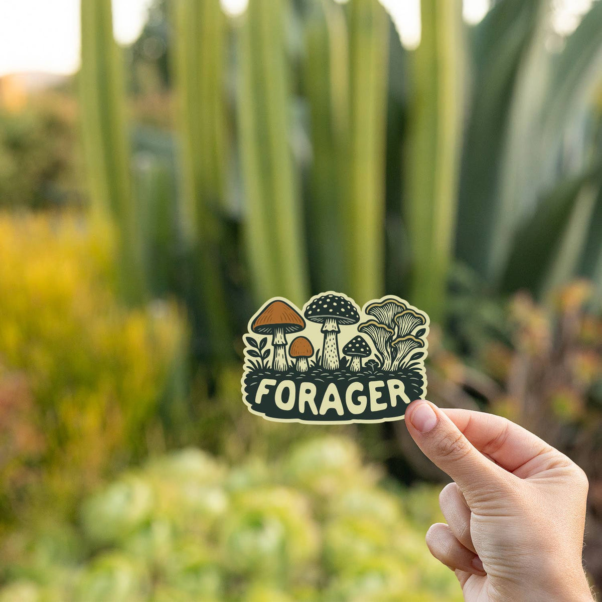 Tall cactus and golden garden plants blur behind a hand holding the Forager Mushrooms sticker.