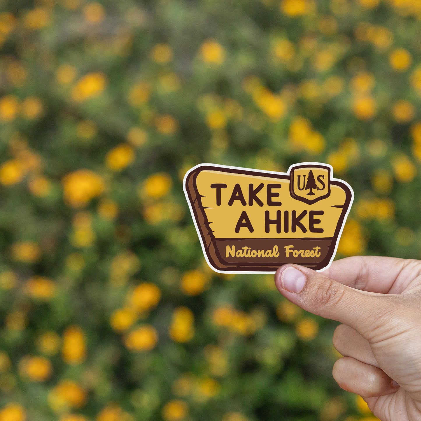 Take Hike National Park Sign