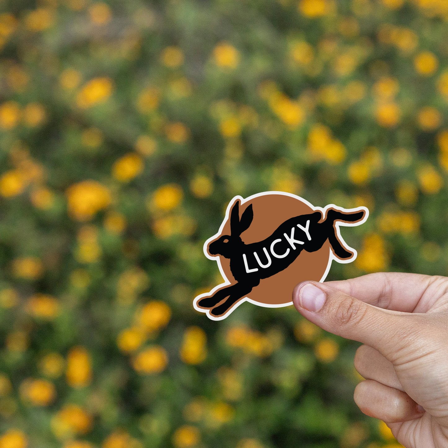 Lucky Sticker