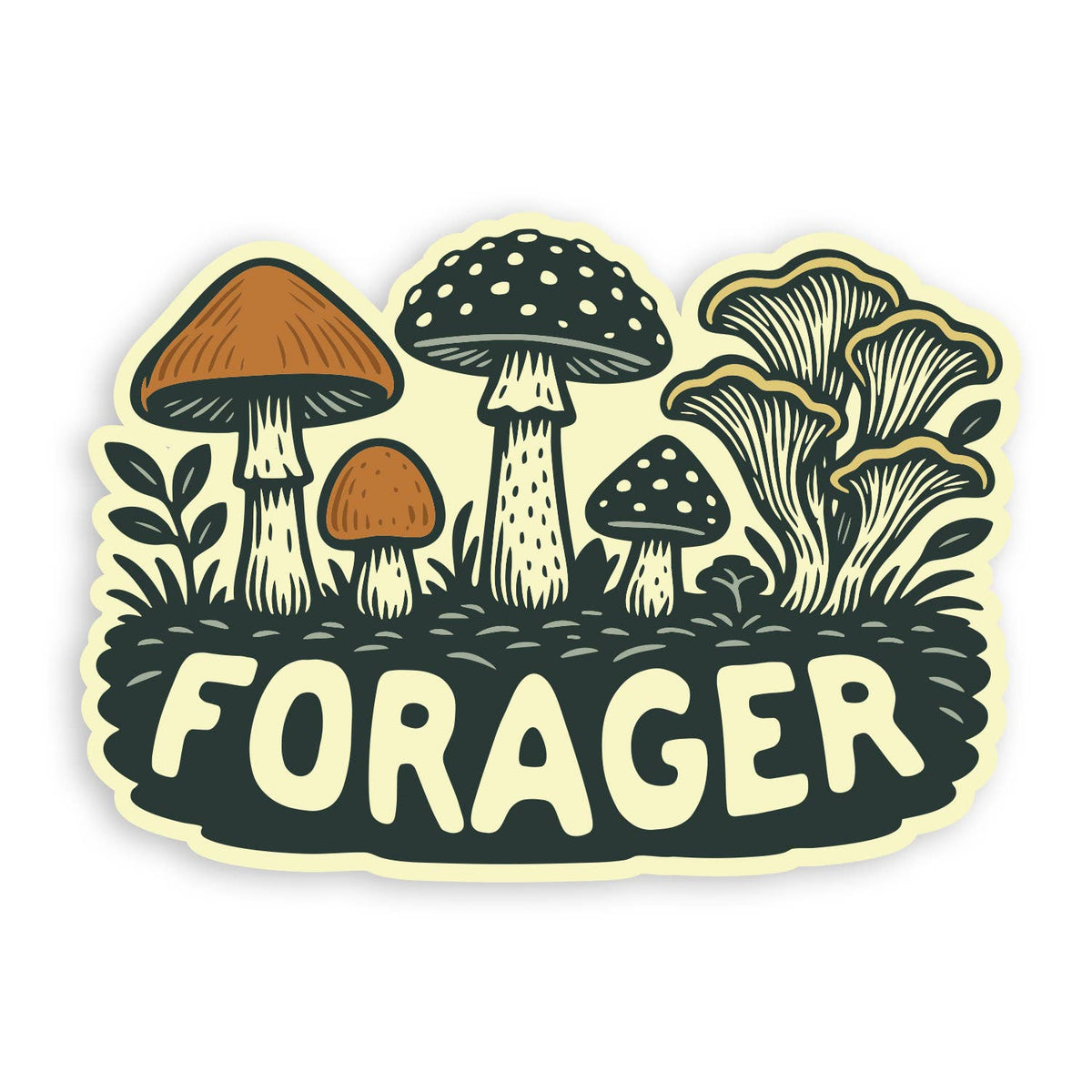 Five illustrated mushrooms rise above the word FORAGER on the cream and dark green Forager Mushrooms sticker.