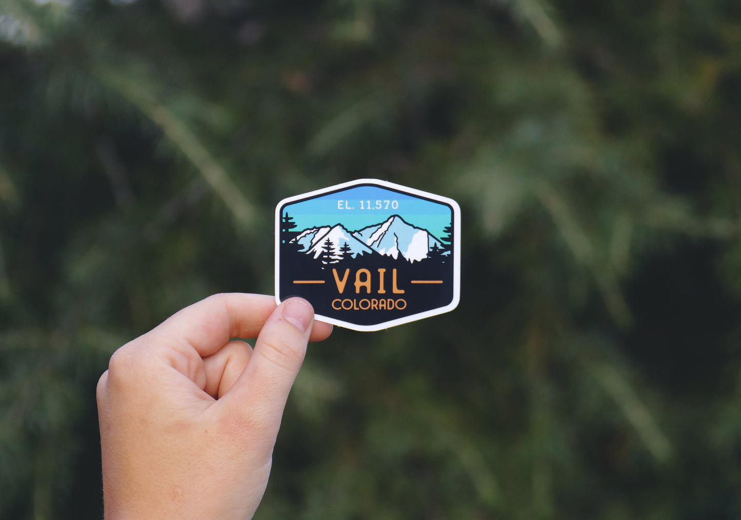 Held farther back against evergreen branches, the Vail Colorado sticker shows its full six sided badge shape.