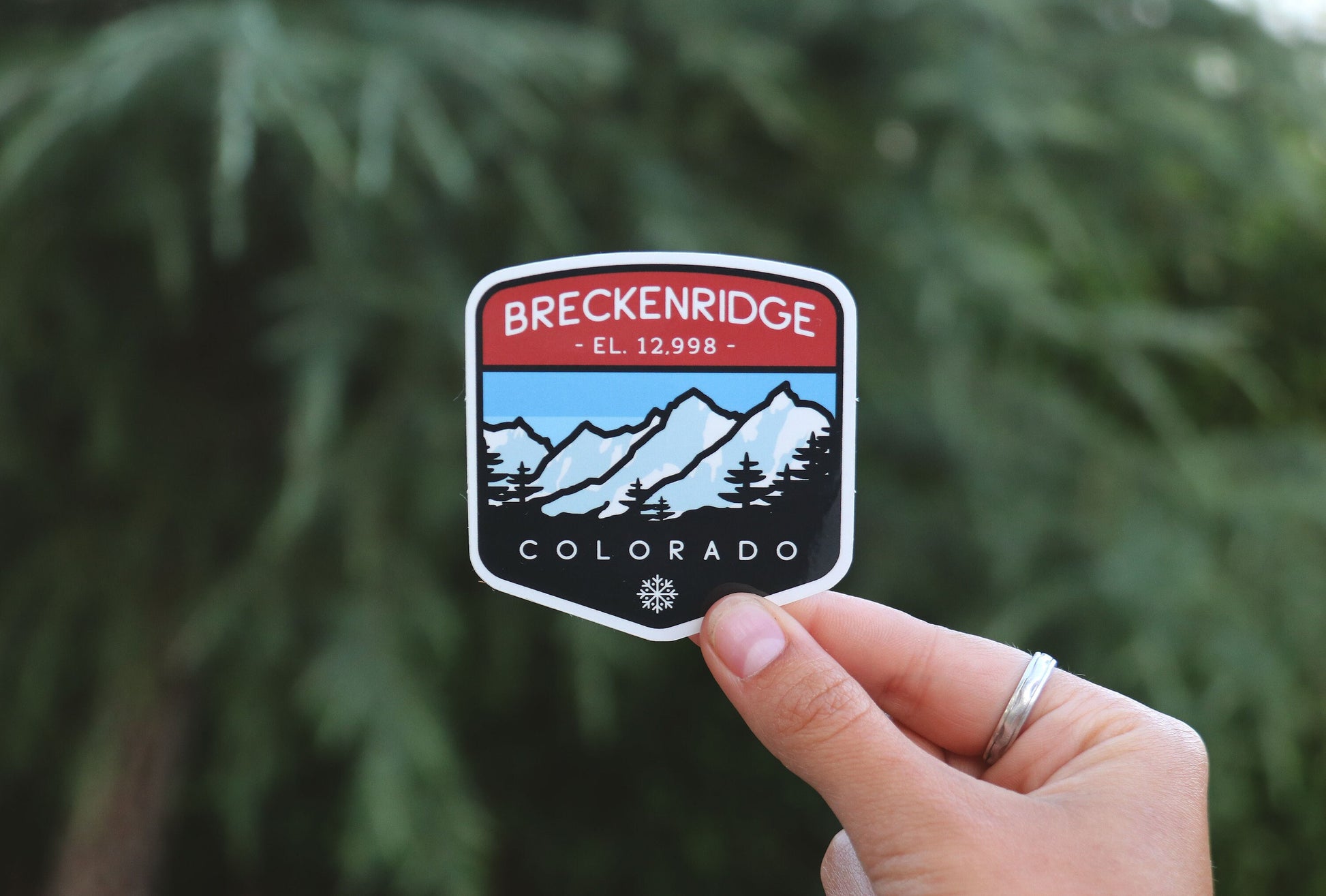 Wide shot of a hand raising the Breckenridge Colorado sticker beside feathery cedar foliage.