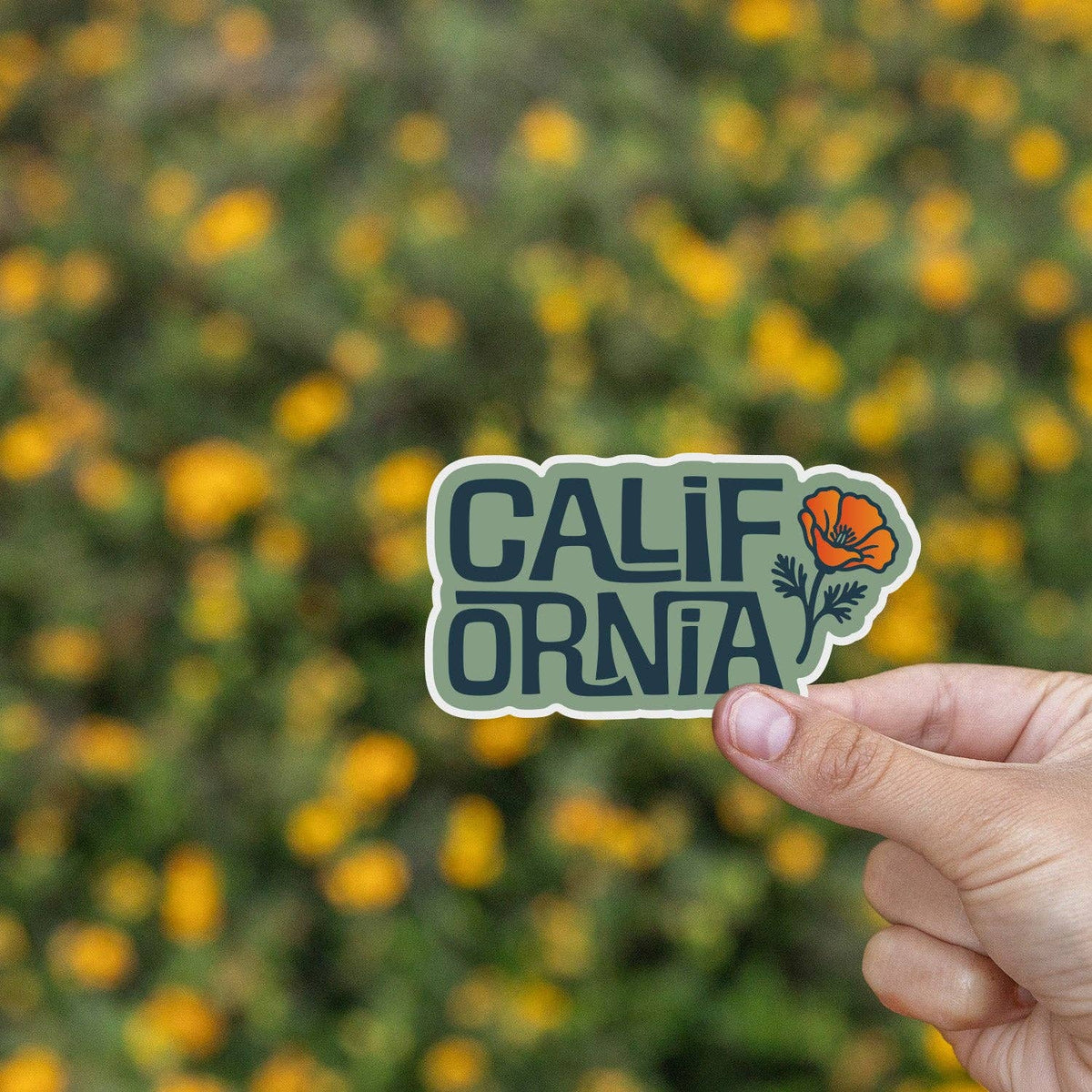 Yellow wildflowers blur behind the California Poppy sticker pinched between finger and thumb.