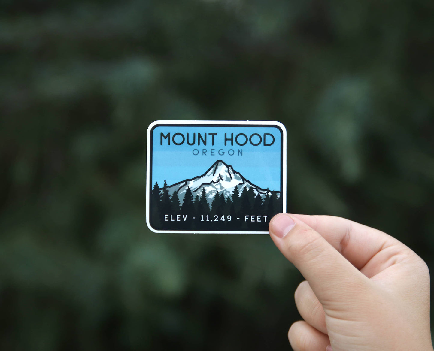 A hand holds the Mount Hood Oregon sticker against blurred dark evergreens, snowy peak and treeline in view.