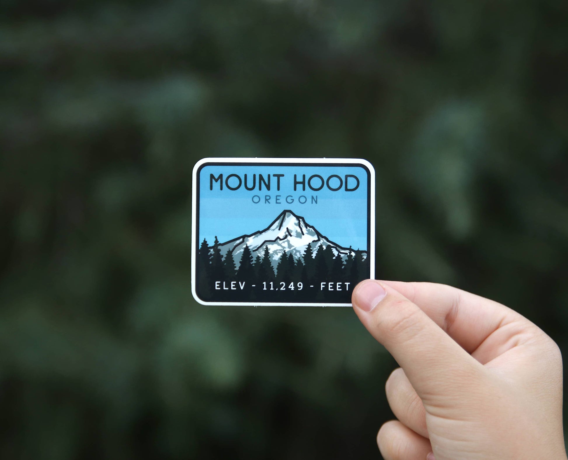 A hand holds the Mount Hood Oregon sticker against blurred dark evergreens, snowy peak and treeline in view.