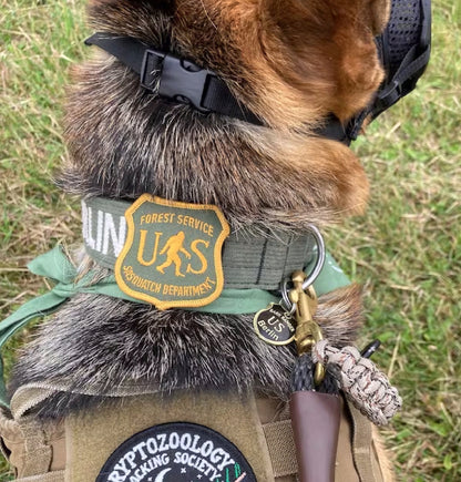 A German shepherd wears the US Sasquatch Department patch on its green working harness in the grass.